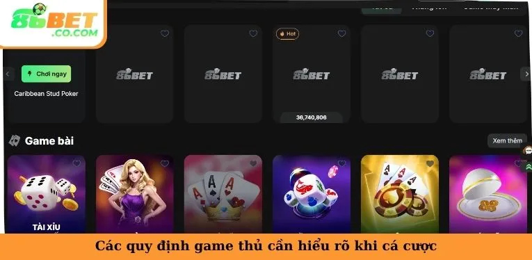 Điều Khoản Và Điều Kiện 86bet | Bảo Chứng Uy Tín Tuyệt Đối Các quy định game thủ cần hiểu rõ khi cá cược