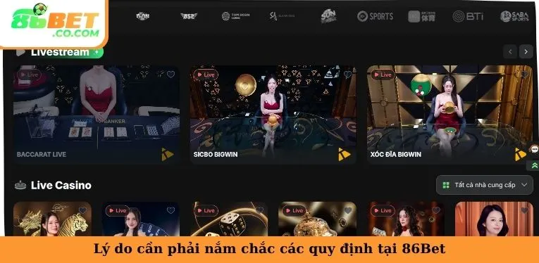 Điều Khoản Và Điều Kiện 86bet | Bảo Chứng Uy Tín Tuyệt Đối Lý do cần phải nắm chắc các quy định tại 86Bet